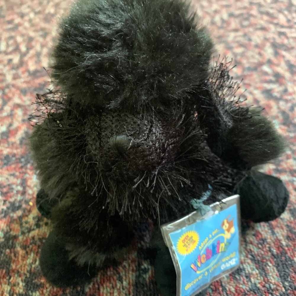 Webkinz Black Poodle New with Unused Code